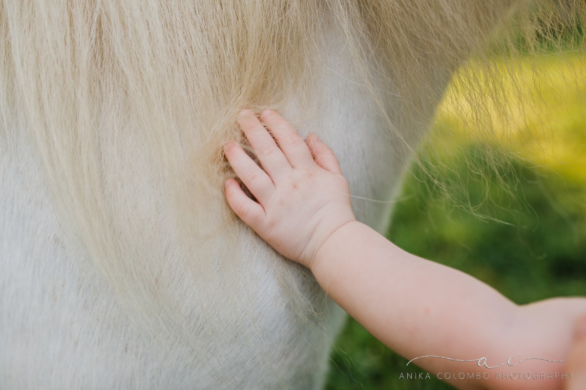 toddler putting her hand against a white unicorn