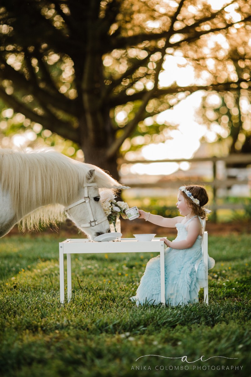 child sitting at a table in a field having a tea party with a unicorn