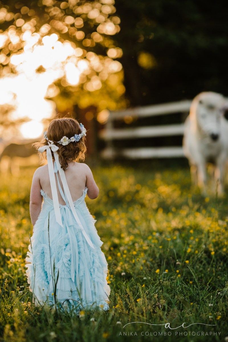 toddler in a farm in Richmond, VA facing away from the camera in a field of buttercups while staring at a white unicorn