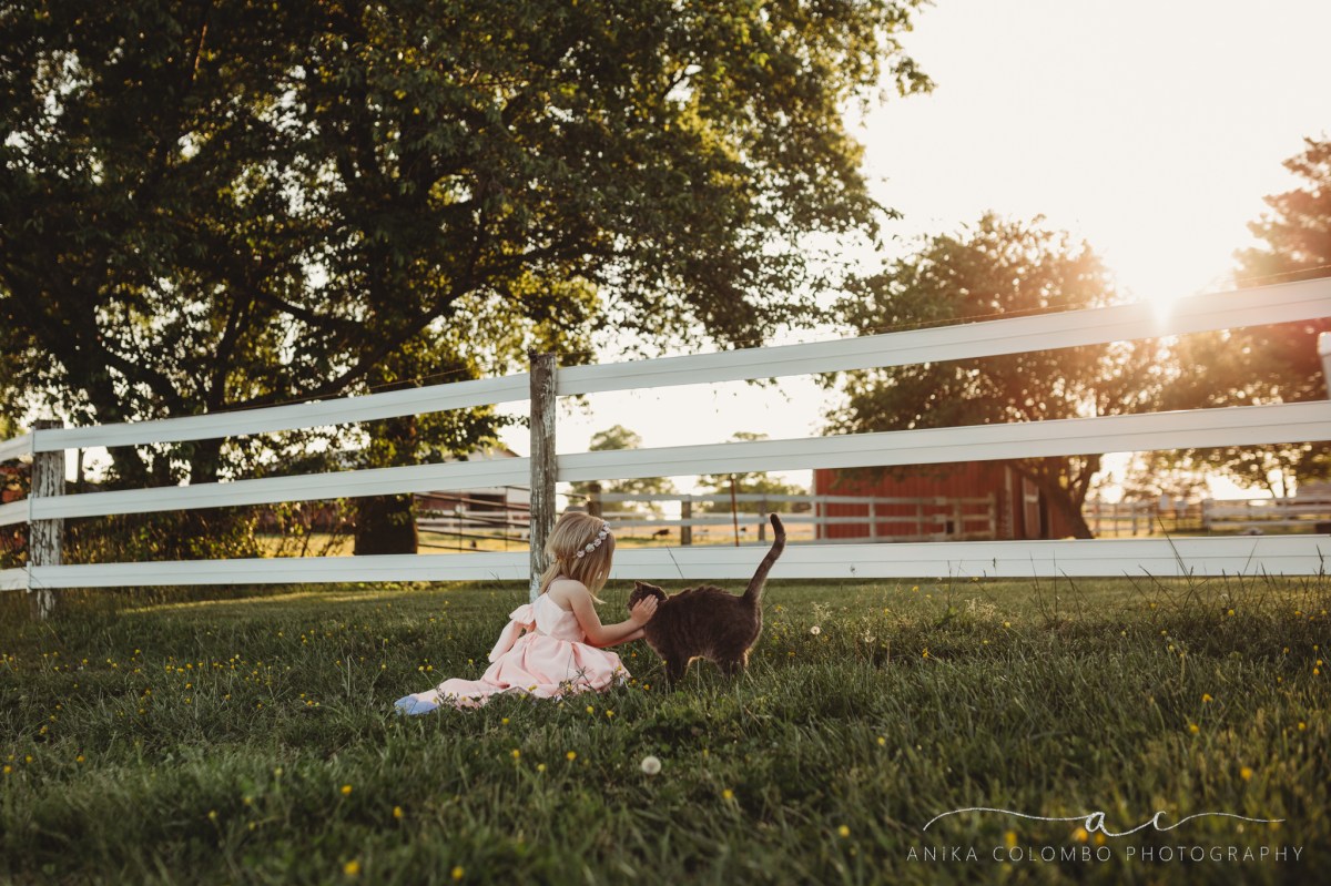 little girl in a pasture with a white fence behind her crouched down petting a cat